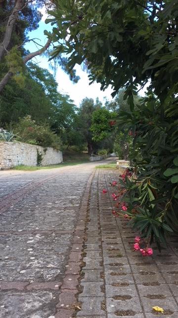 Tenuta Valle Della Corte Vieste Dış mekan fotoğraf