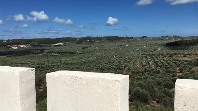 Tenuta Valle Della Corte Vieste Dış mekan fotoğraf